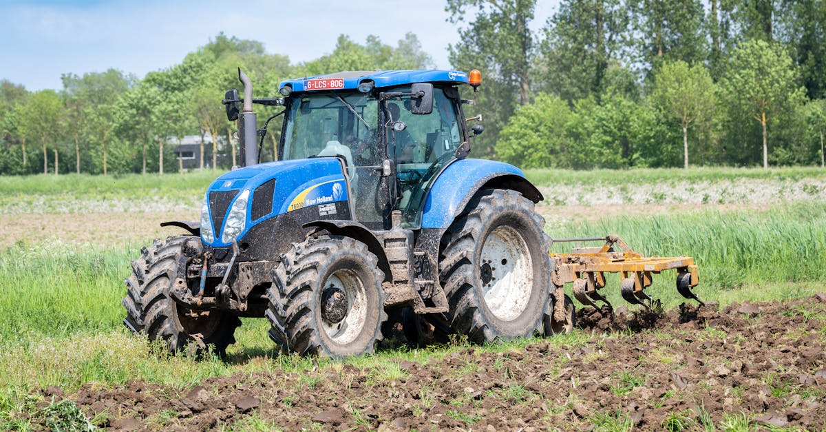 New Holland