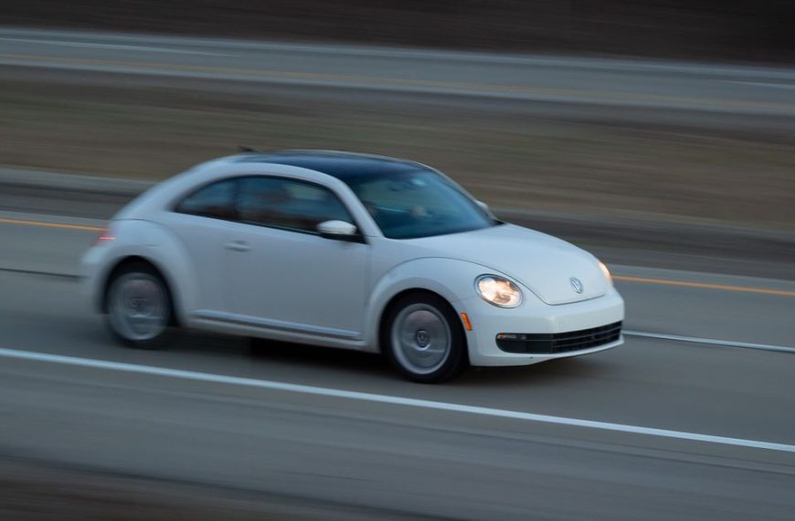 beetle