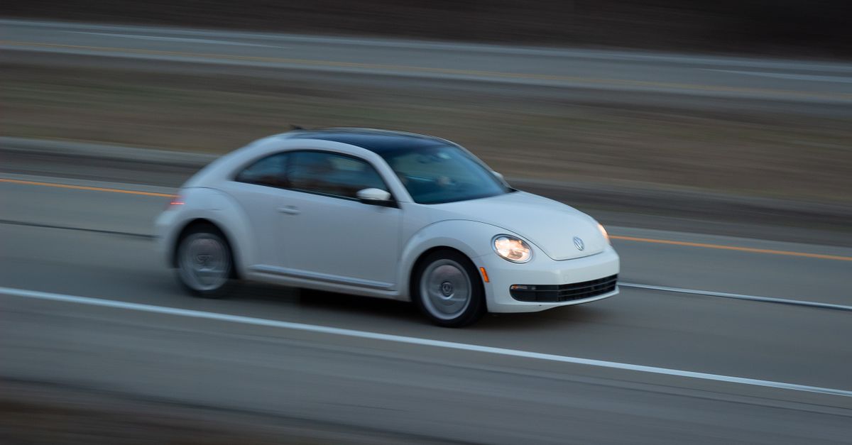 beetle